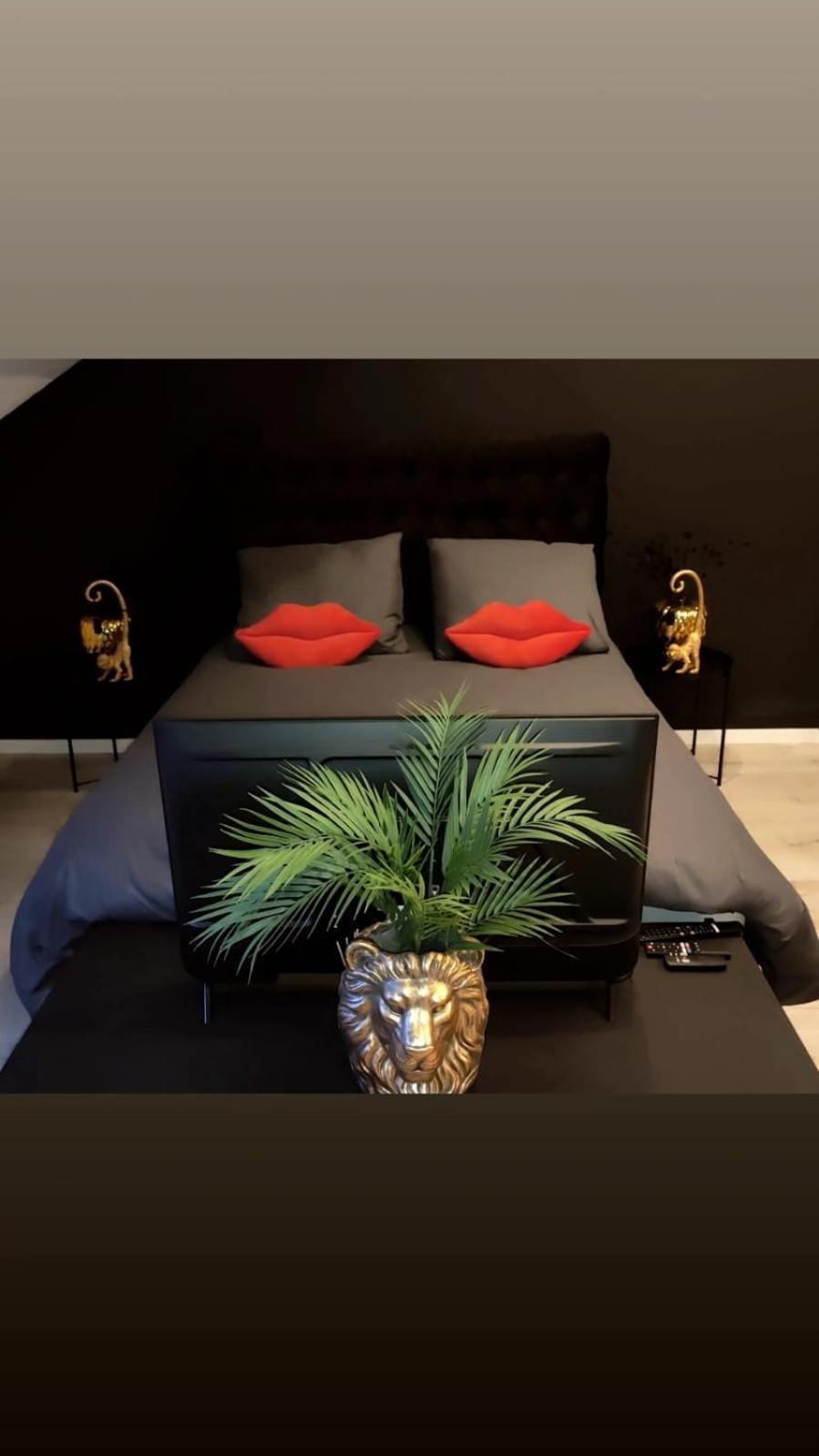 Logement Romantique Et Cosy Charleroi Eksteriør bilde